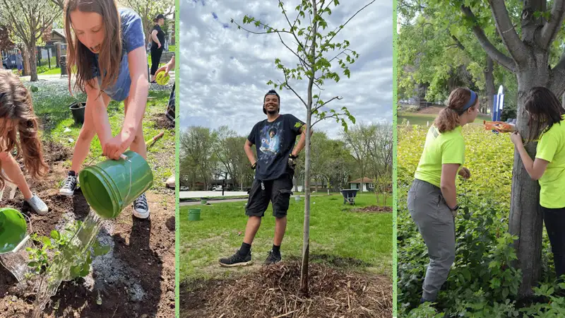 Urban Tree Care in Greater Jackson
